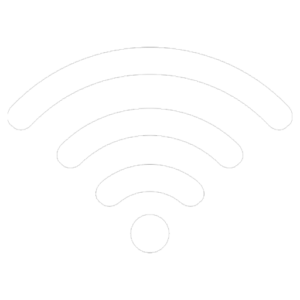 Internet icon